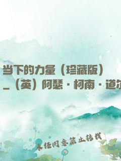当下的力量（珍藏版）
